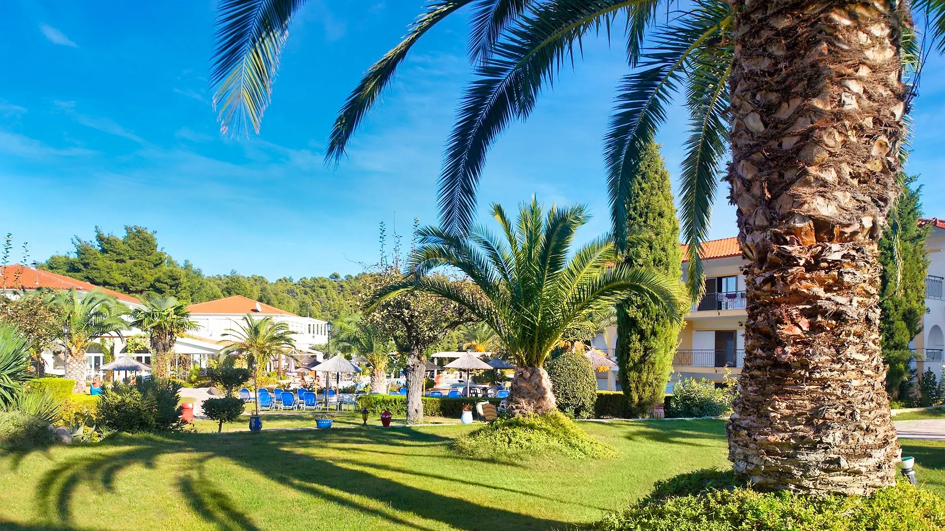 Chrousso Village Paliouri Greece
